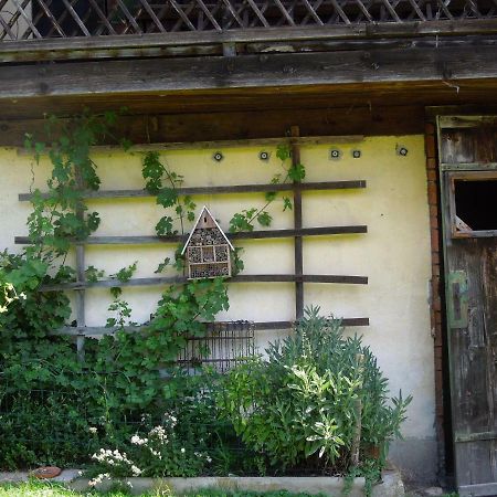 珀希拉恩卡默勒住宿加早餐旅馆住宿加早餐旅馆 外观 照片