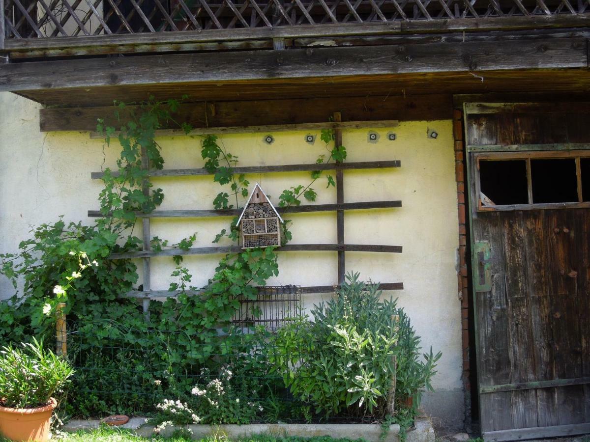 珀希拉恩卡默勒住宿加早餐旅馆住宿加早餐旅馆 外观 照片